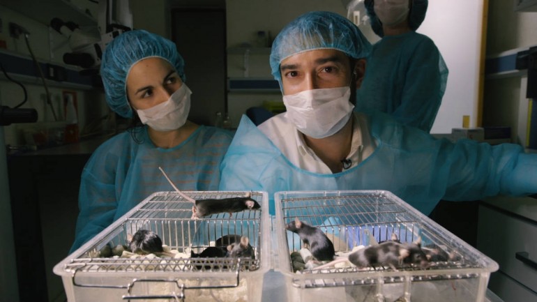 El futuro de la medicina | pereestupinya.com